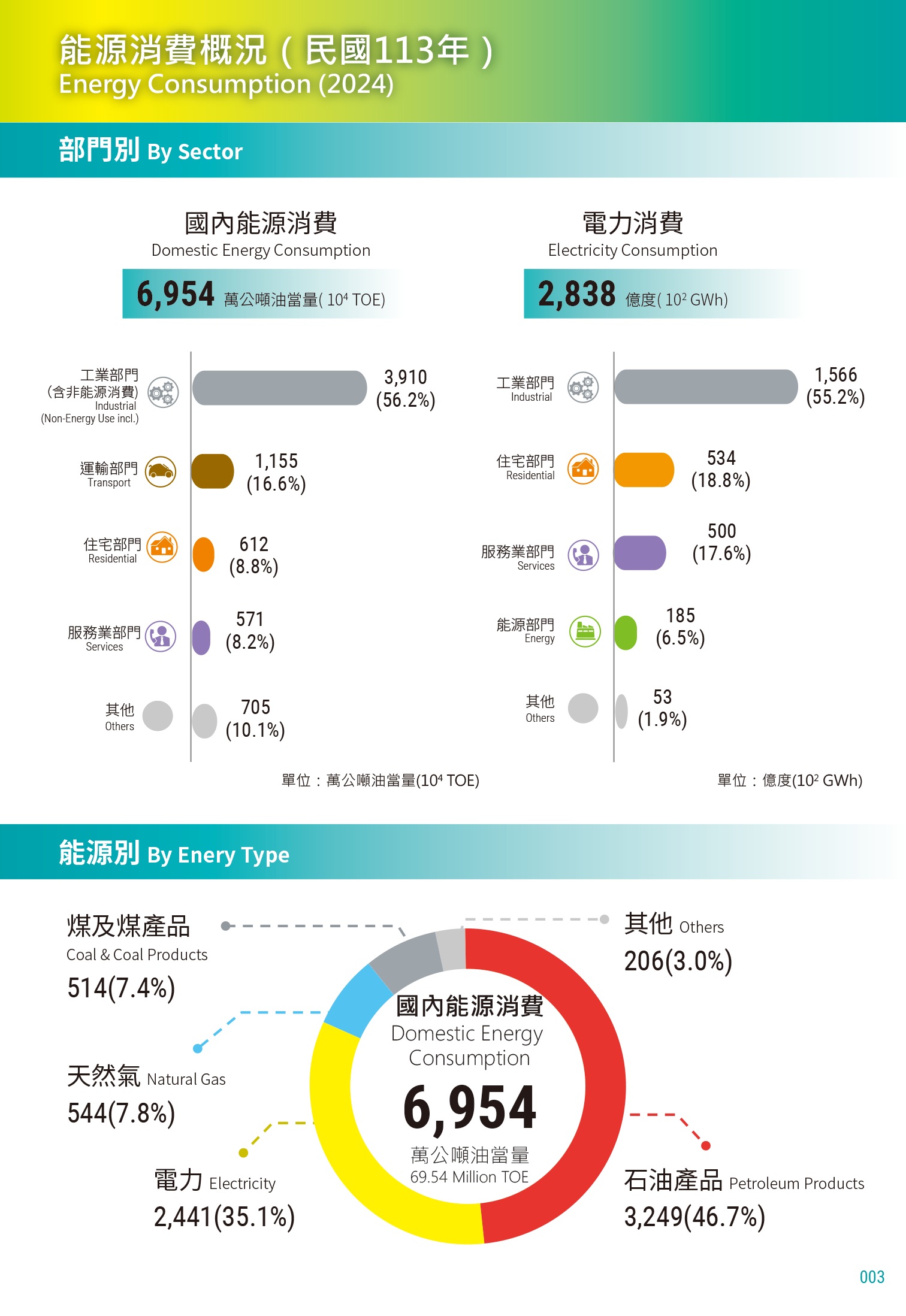 能源消費概況（民國113年）