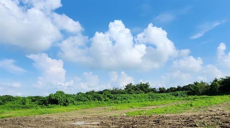 另開視窗，連結到經濟部強調農(漁)電共生應以農(漁)業為主、光電為輔  共同維護土地資源是不變的原則2(jpg檔)