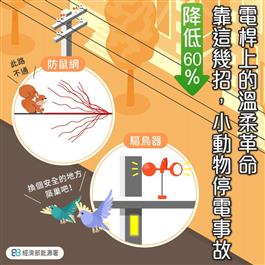 電桿上的溫柔革命